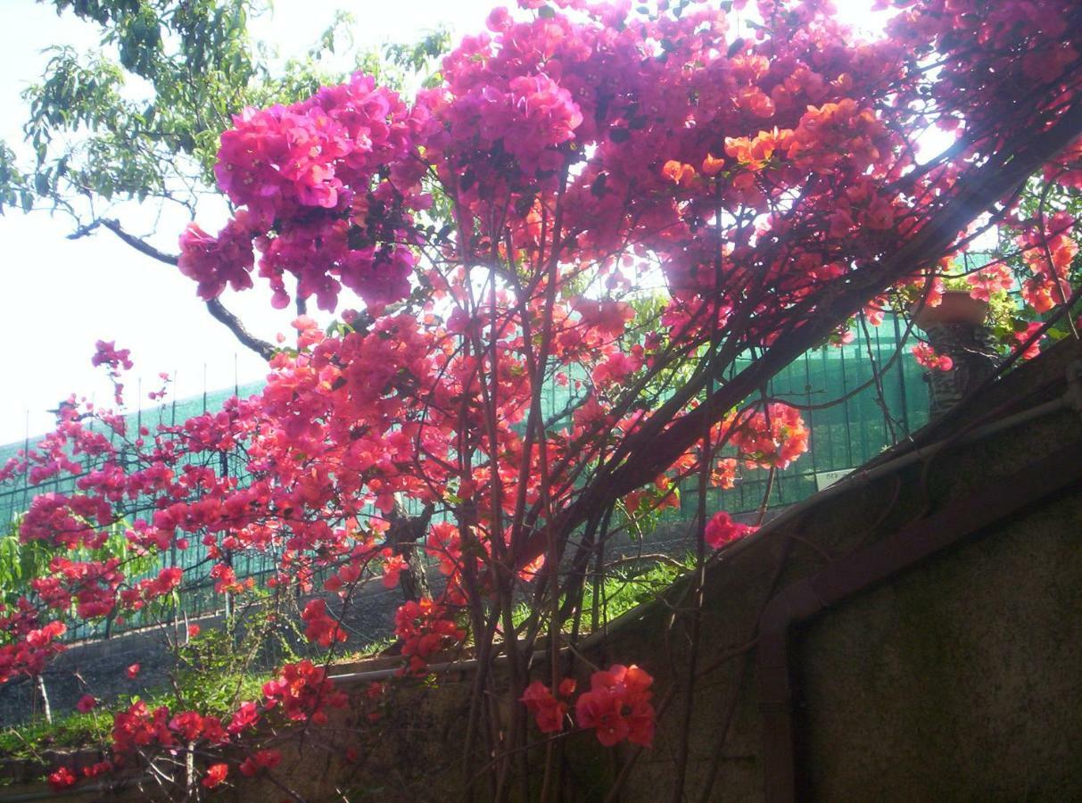 Le Gardenie Da Fil Bed & Breakfast Bordighera Bagian luar foto
