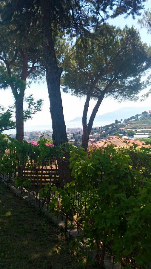 Le Gardenie Da Fil Bed & Breakfast Bordighera Bagian luar foto